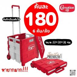 รถเข็น Carnation พับได้ (152023